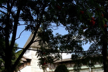 DSC05583.JPG