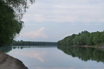 P1050856.jpg
