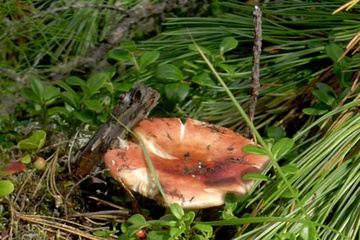 DSCN2157.jpg