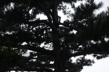 P1000193_1.jpg