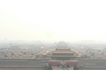 p1100627.jpg