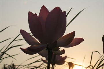 izobrazhenie_036_small.jpg
