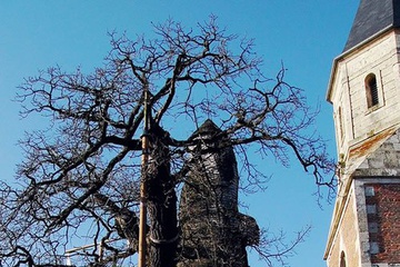 0trees_09.jpg