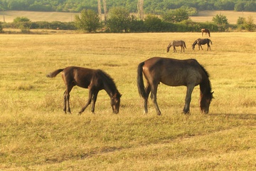 dscn5148.jpg
