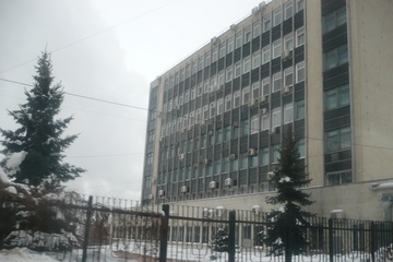 P1090079_1.jpg