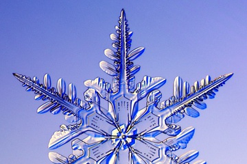 pica4u.ru_1213679609-snow-flakes-01.jpg
