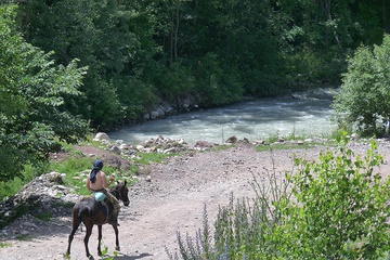 P1020349.JPG