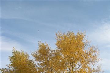 izobrazhenie_032_small.jpg