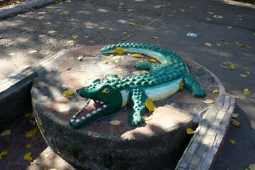 DSC09387.JPG