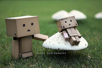 danboard_37.jpg