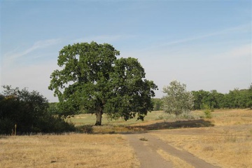 izobrazhenie_088_small.jpg