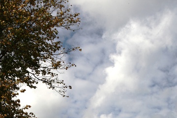 2F3T3625.JPG
