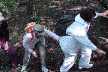 DSC06876.JPG