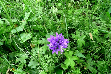 P1020410.jpg