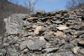 DSC00172.JPG