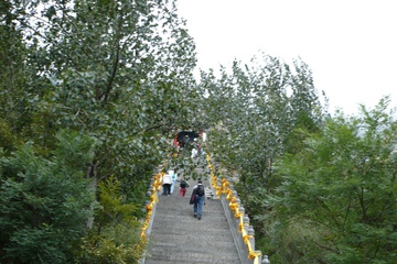 P1000158_1.jpg