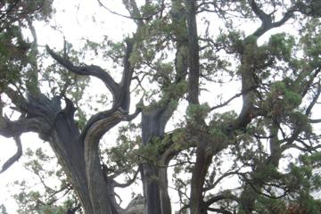 img_7148_small.jpg