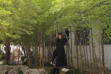 Бабук, 竹子. 2008