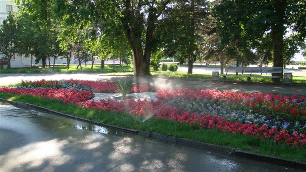 dsc01369_small.jpg