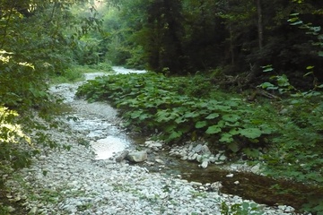 p1120477_1.jpg