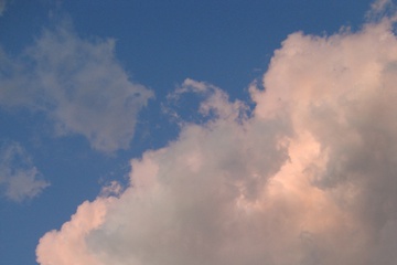 DSC08462.JPG