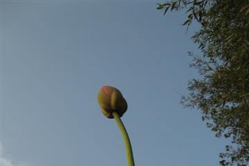 izobrazhenie_032_small.jpg