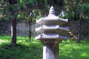 PICT0135.JPG