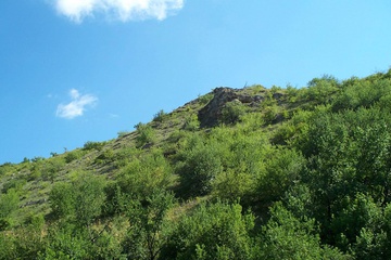 Image-01_22.jpg
