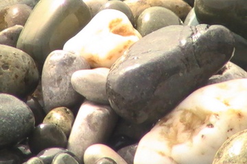 PIC_0062.jpg