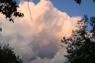 DSC08457.JPG
