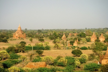 DSC00900.JPG