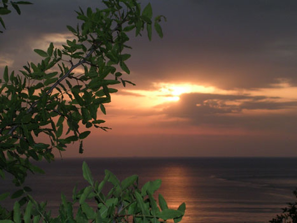 dscn3954.jpg