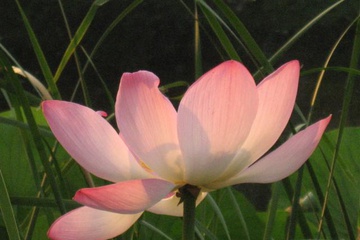 izobrazhenie_043_small.jpg
