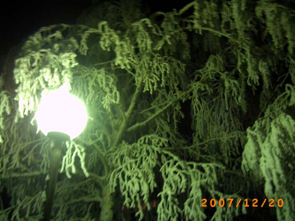 PICT0167.JPG