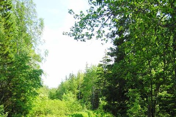 solovki_2009_082-1.jpg