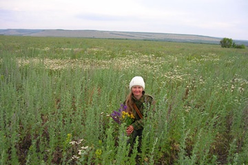 dscn3480.jpg