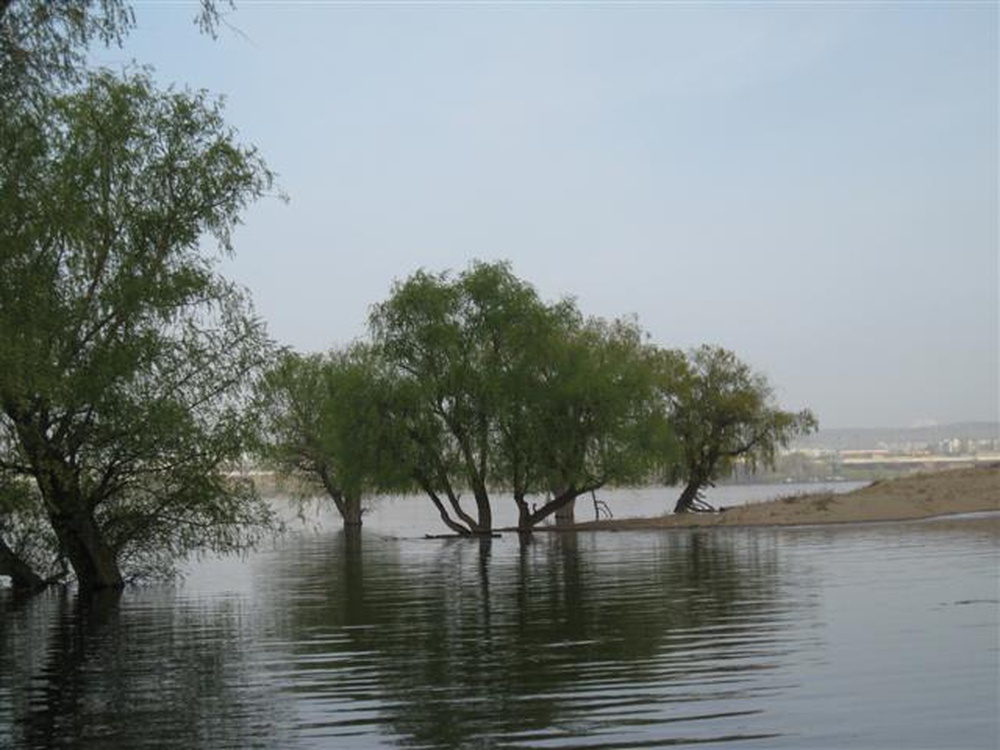 izobrazhenie_013_small.jpg