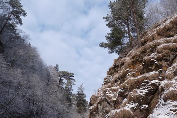 p1070800.jpg