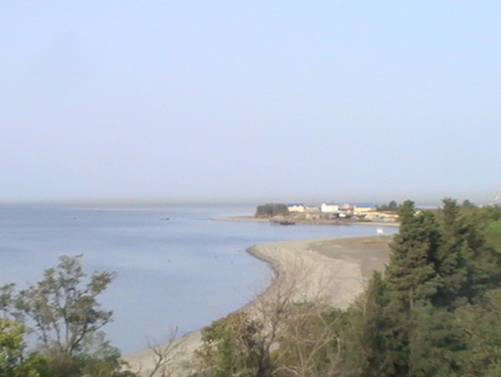 PIC_0050.jpg