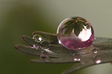 a5195d96391e.jpg