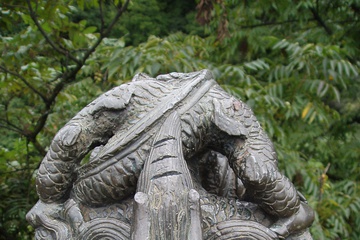 P1010391.JPG