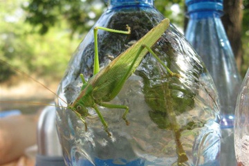 izobrazhenie_141_small.jpg
