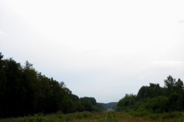 DSC05537.JPG