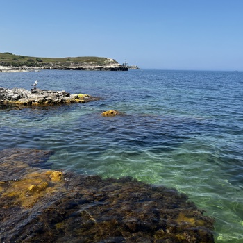 Херсонес Таврический