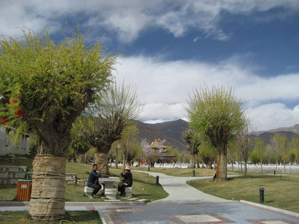 Lhasa-park..jpg