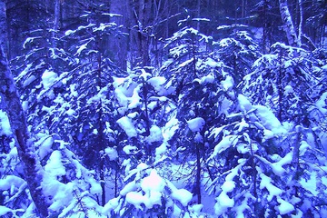 PICT0250.JPG