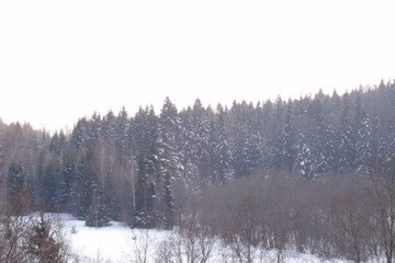P2251704.JPG