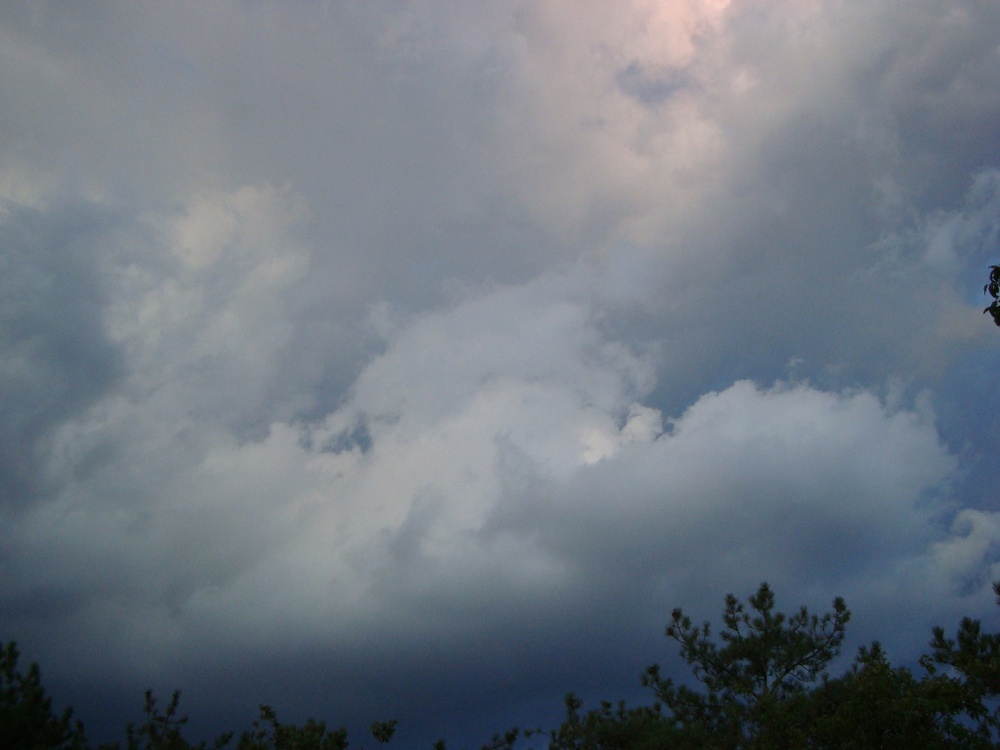 DSC08468.JPG