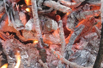 izobrazhenie_249_small.jpg