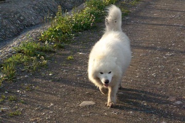 dsc00445_small.jpg